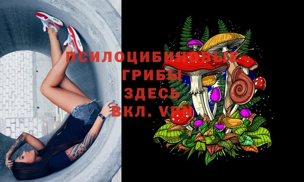 гашишное масло Володарск