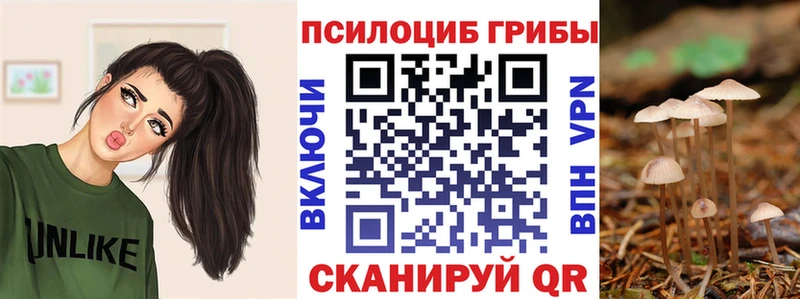 Псилоцибиновые грибы мухоморы  даркнет какой сайт  Ярцево  хочу наркоту 